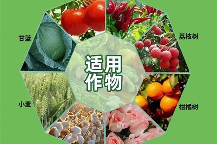 氨基酸肥料的缺点