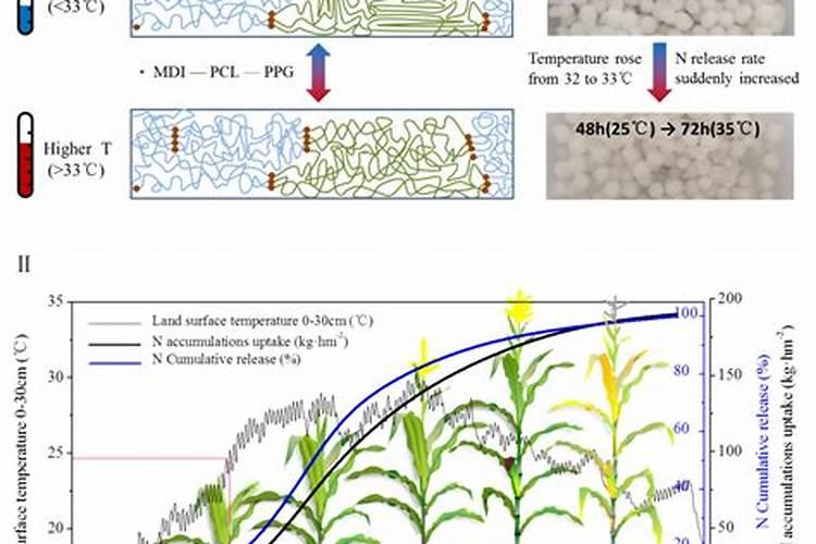 花神纪的颗粒控释肥能用在绣球花上吗？