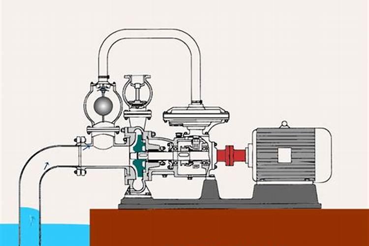 月季梅雨季节怎么施肥？