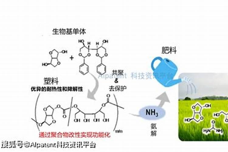 柑橘这样补硼, 花好叶好品质高