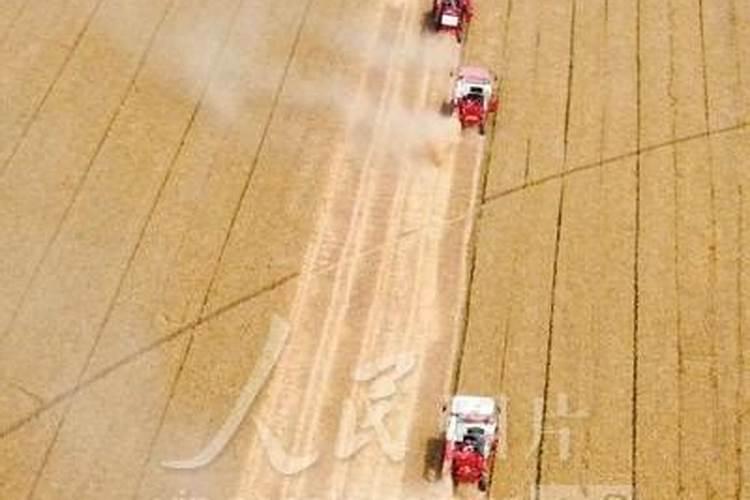 小麦底肥每亩用二铵多少斤最好