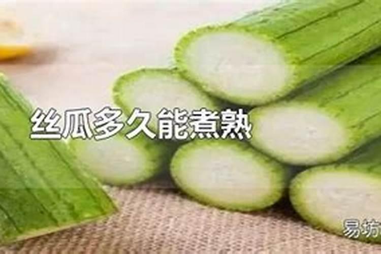 丝瓜即将进入开花结果,该如何进行正确的护理？