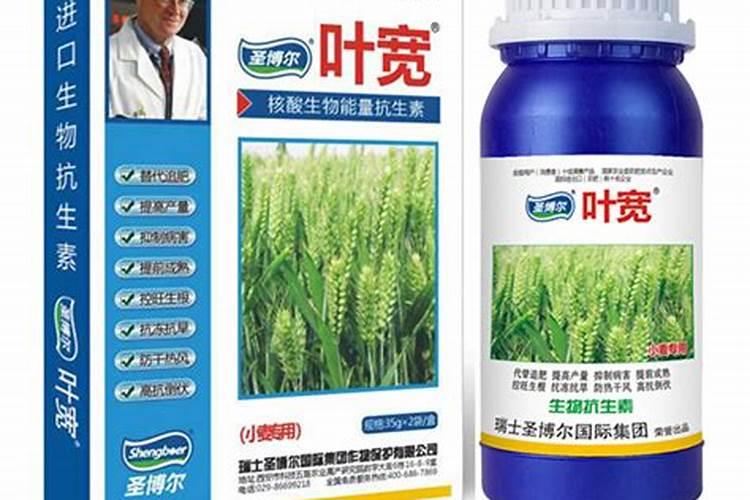 小麦打什么叶面肥增产