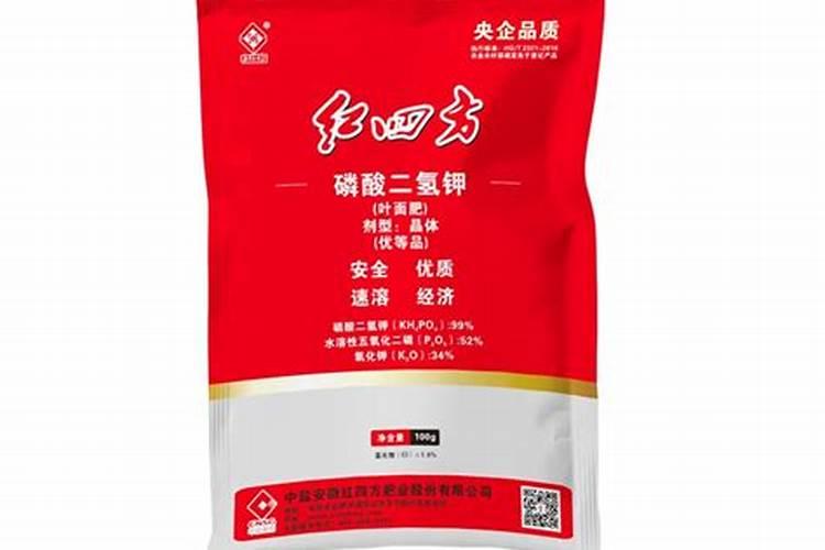 栀子花怎么施肥