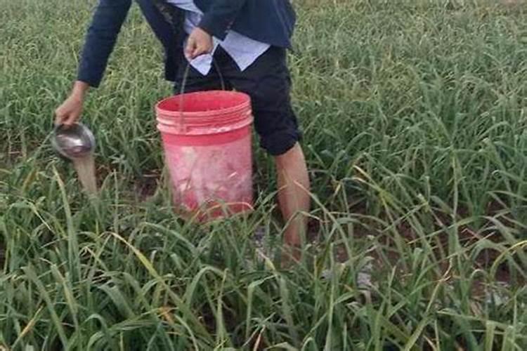 什么叫游离的氨基酸