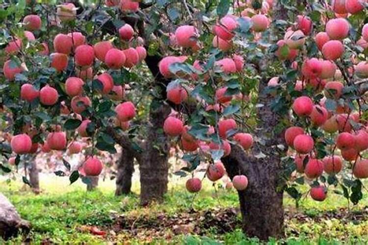 平衡液的使用方法