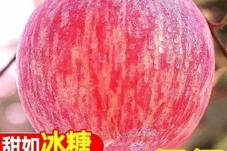 苹果树6月份施什么肥