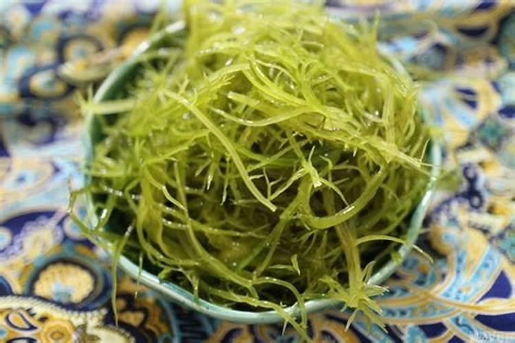 海藻肥都十年了,你还在被忽悠吗？一篇文章让你了解透