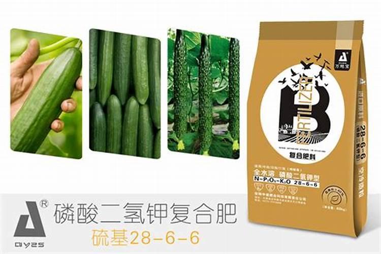 种黄瓜要什么底肥复合肥