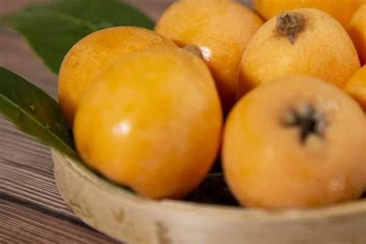 钾素不足时枇杷树有哪些变化？