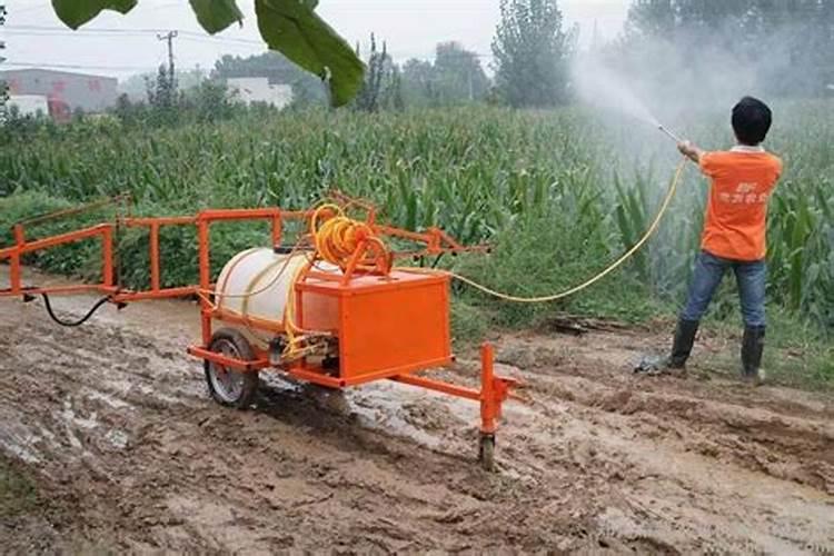 玉米追氮肥最佳