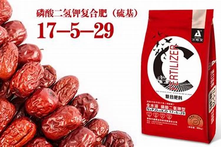 冬枣树怎样管理才能多结枣？