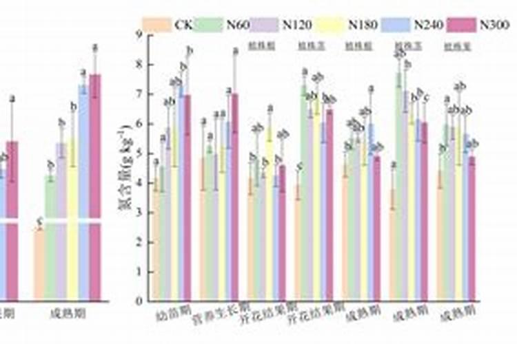 什么是氮肥 氮肥有什么作用