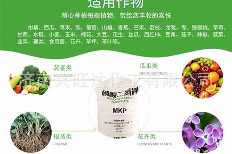 菌碳双补水溶肥 牌子