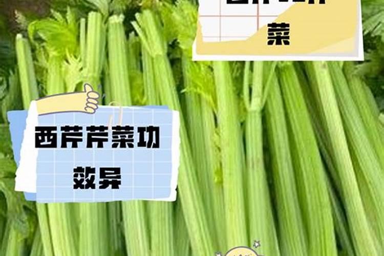 西芹种植怎样施肥更高产