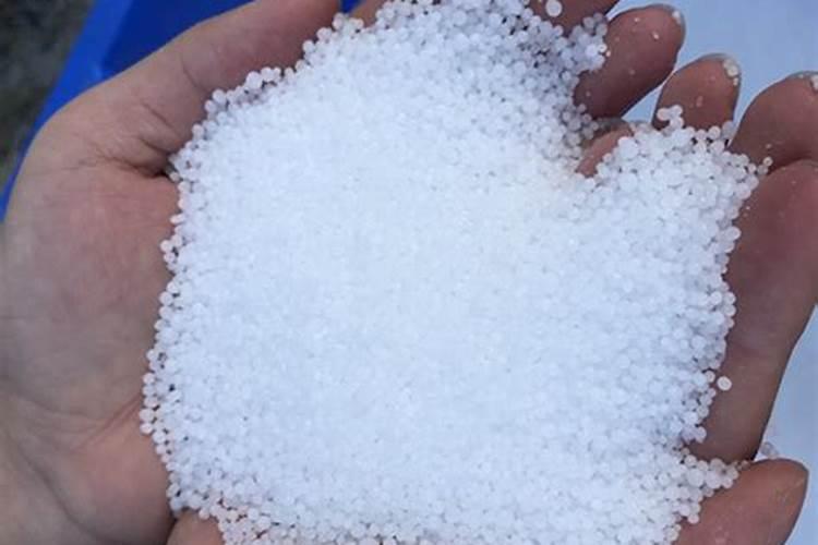 唑啉草酯混配氯氟吡氧乙酸有什么药害