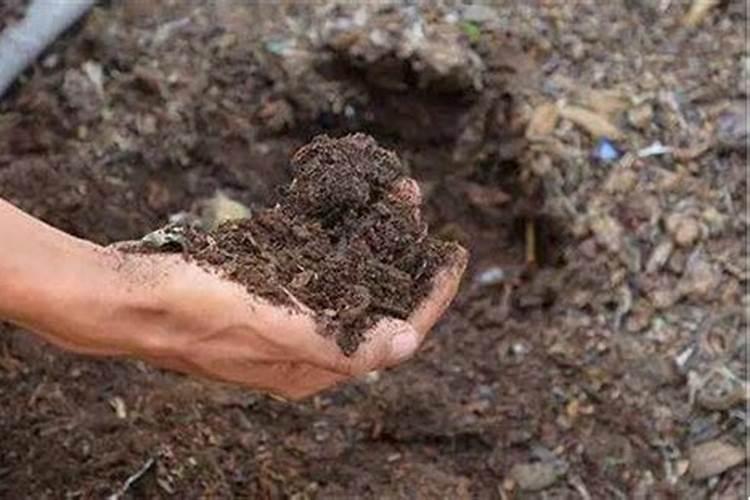 磷钾肥自制简单不花钱的方法