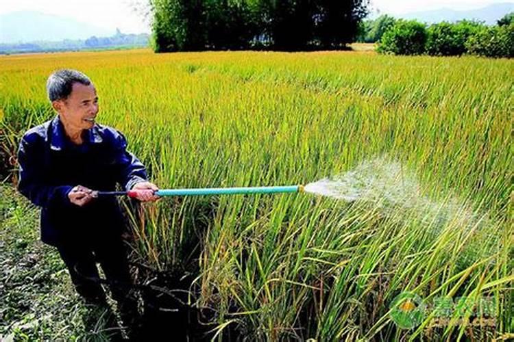 高效氯氰菊酯能和微生物菌肥混用吗