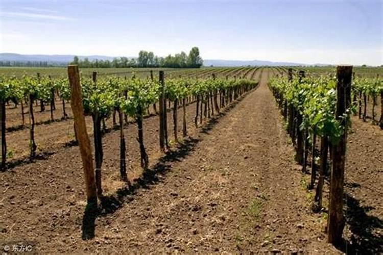 济南市肥料公司有哪些