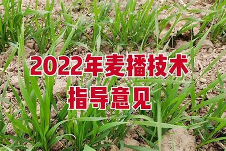 小麦4月份还能追肥吗