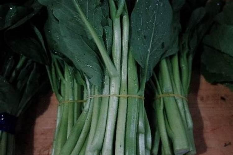 护绿仕含腐植酸水溶肥正确使用方法