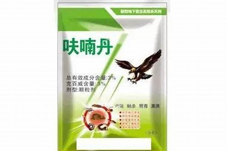 杨树用什么肥料长得快