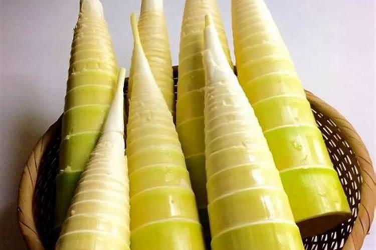 竹子种子可以种出来吗 竹子有种子吗怎么种竹子