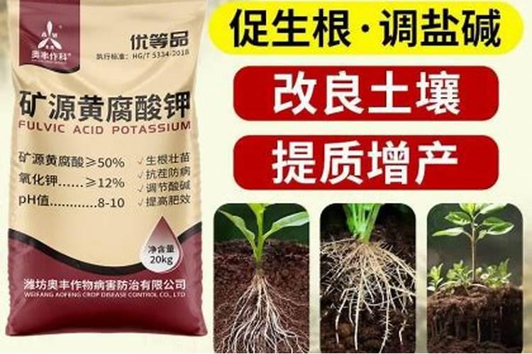 听说罗布泊有那种对广东惠州种荔枝特别好的钾肥,是啥呀？