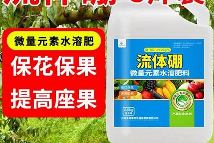 木槿花施什么肥