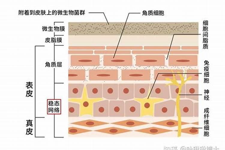 长时间接触硫酸铝,对皮肤有没有害