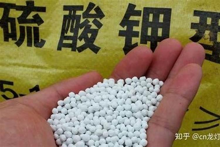 肥料施入土壤后多久能见效(肥料放在土里有效期是多久)