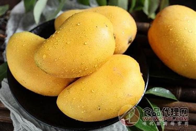 芒果怎么控梢及保花保果？