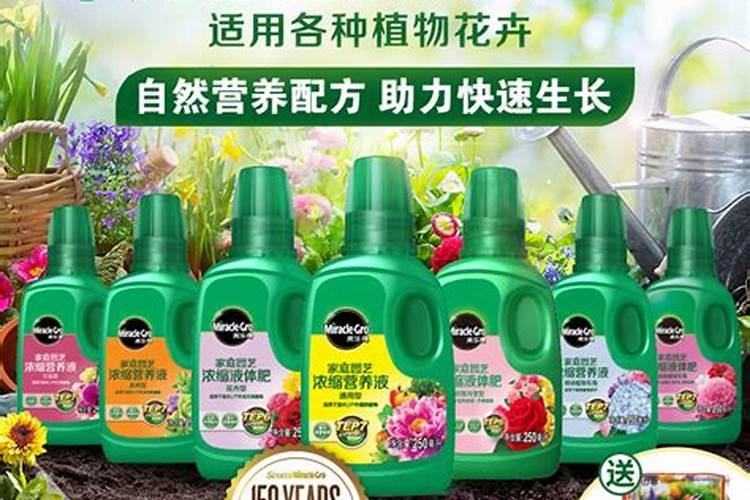 发财树肥料用缓控释肥肥料可以吗？