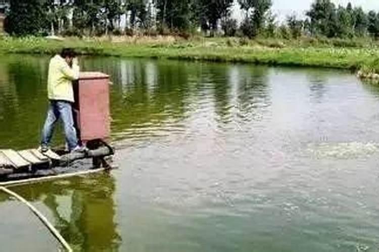 鱼塘水肥怎么办,求助