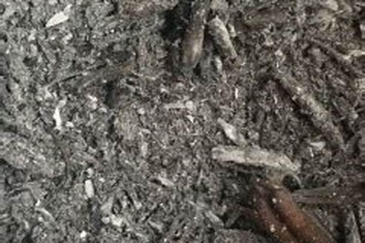 草木灰补充什么肥料