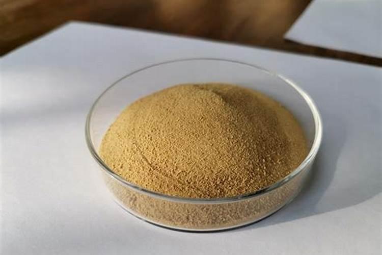 鱼蛋白肥制作方法