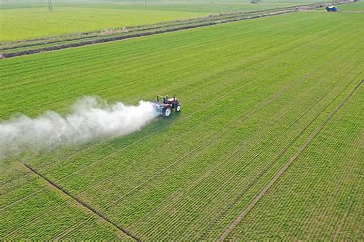 辣椒用什么叶面肥效果好？辣椒喷什么叶面肥结果多？