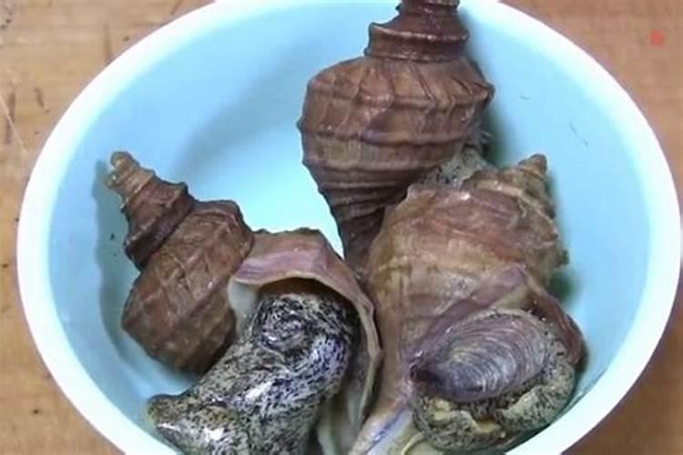 如何用厨余垃圾做花肥一天一斤厨余垃圾一年365斤省去背土之苦