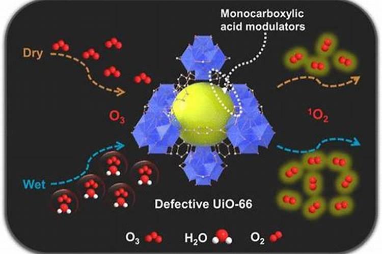 厨余垃圾处理方法