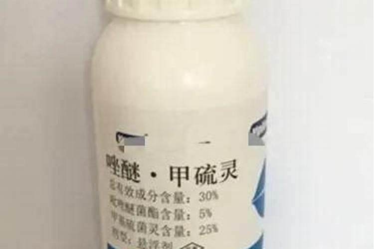 玉米用纯硫基肥好还是硫酸钾复合肥比较好？