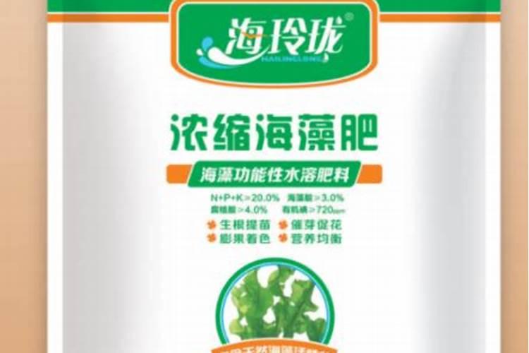 什么是海藻肥