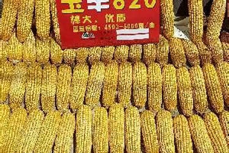 住商肥料玉米专用肥价格多少