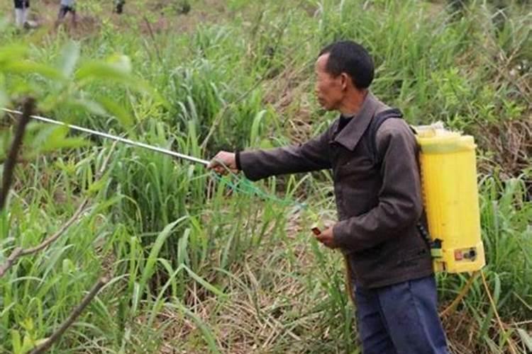 红灵达草甘膦异丙胺盐除草剂有什么优点？