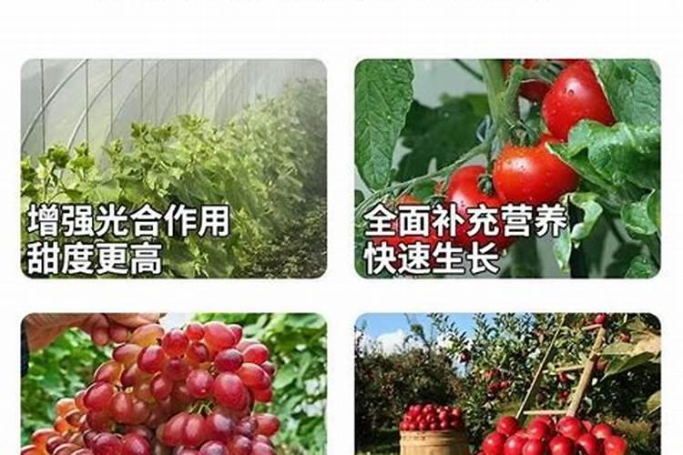 尿素含聚谷氨酸是什么意思