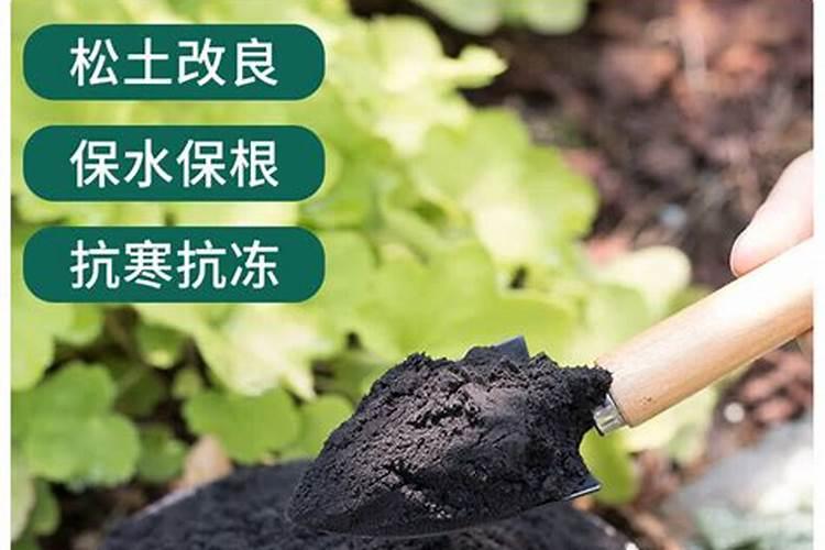 草木灰是什么肥