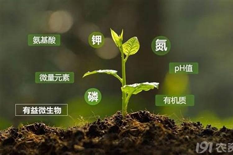 ...基本离子在机体内的稳定性十分重要机体通过哪些？