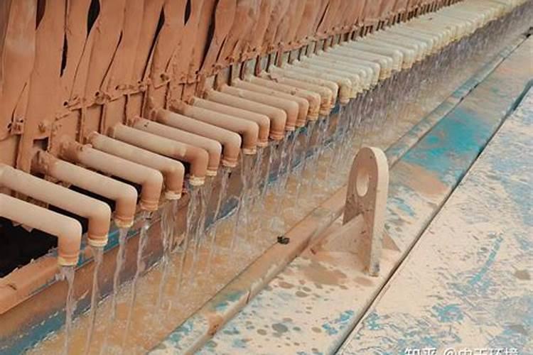 泥浆加磷肥浆根杉木苗会烧根吗？