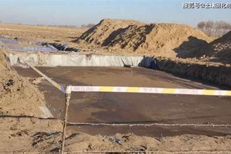 栽桃树要不要打泥浆？