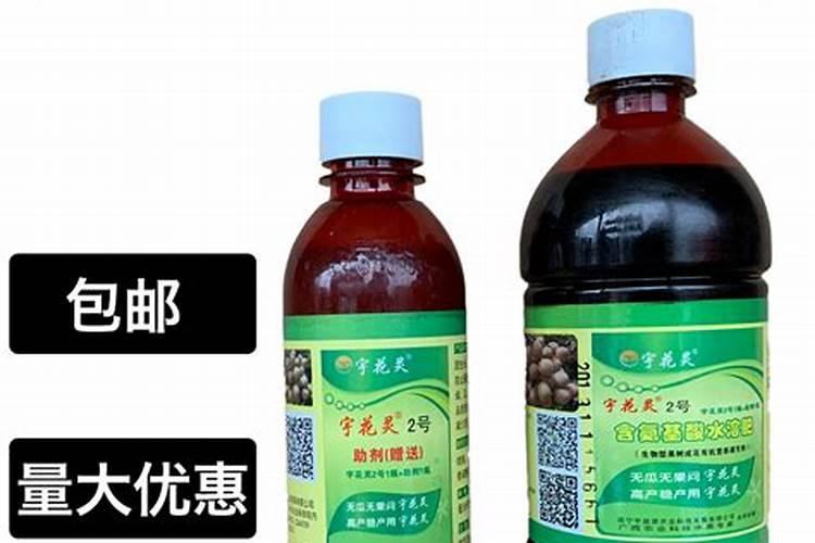 南瓜苗的高产种植方法