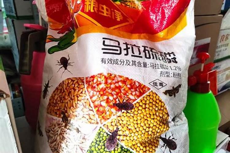 炮仗花可以在台州种植吗!